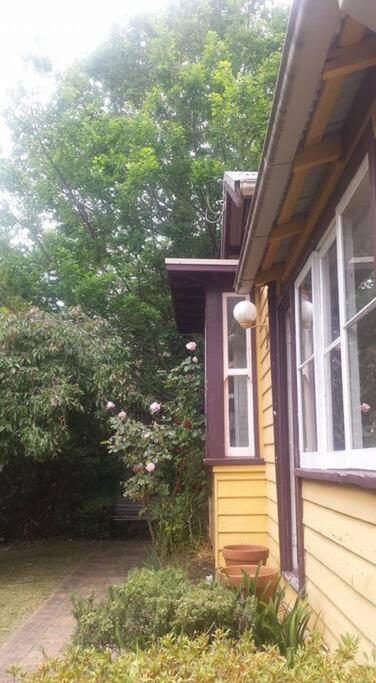 Dowling Cottage - tranquil haven in Blackheath