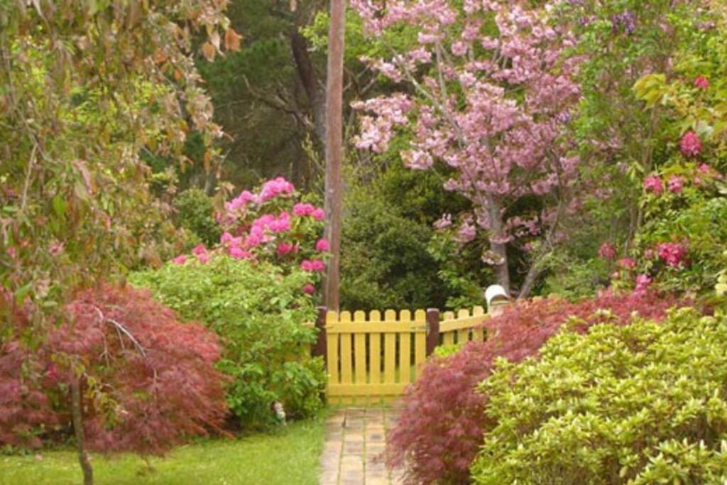 Dowling Cottage - tranquil haven in Blackheath