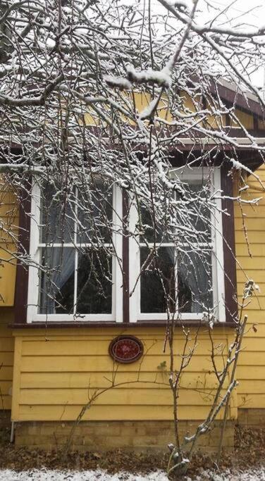 Dowling Cottage - tranquil haven in Blackheath