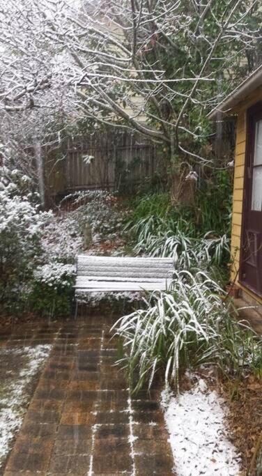 Dowling Cottage - tranquil haven in Blackheath