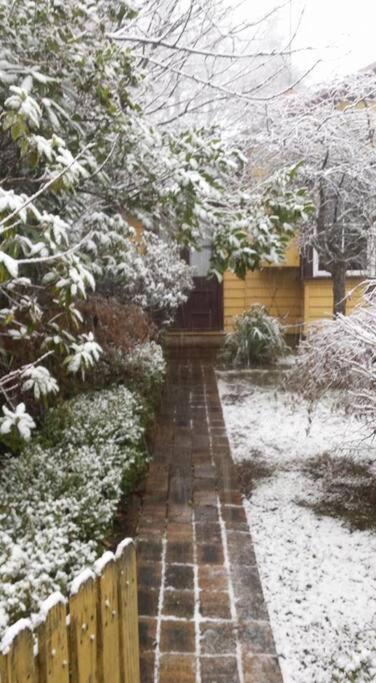 Dowling Cottage - tranquil haven in Blackheath