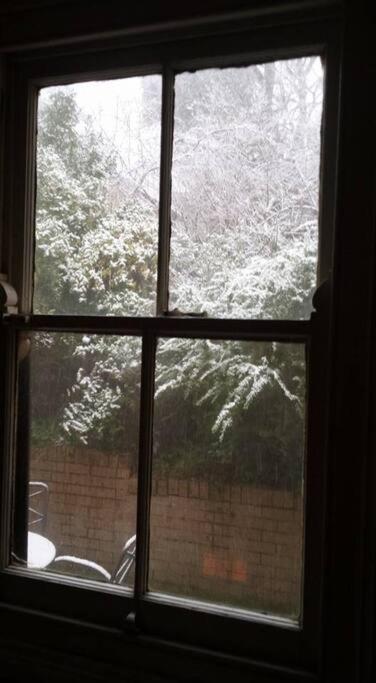 Dowling Cottage - tranquil haven in Blackheath