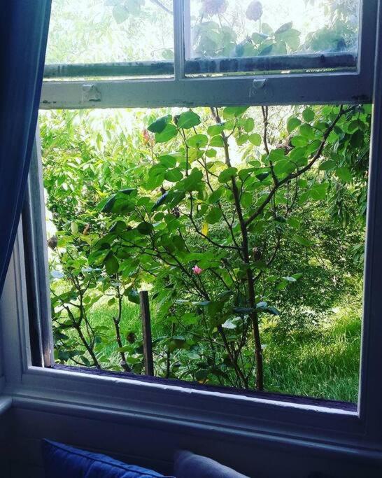 Dowling Cottage - tranquil haven in Blackheath