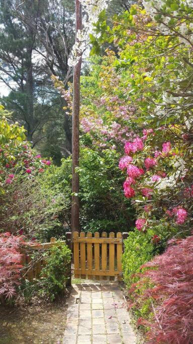 Dowling Cottage - tranquil haven in Blackheath