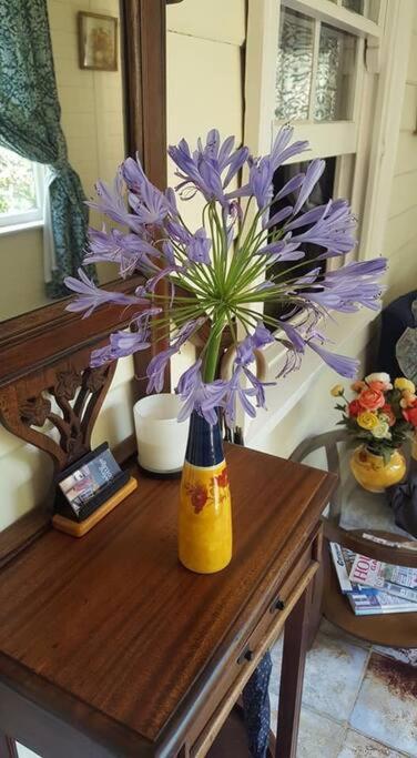 Dowling Cottage - tranquil haven in Blackheath