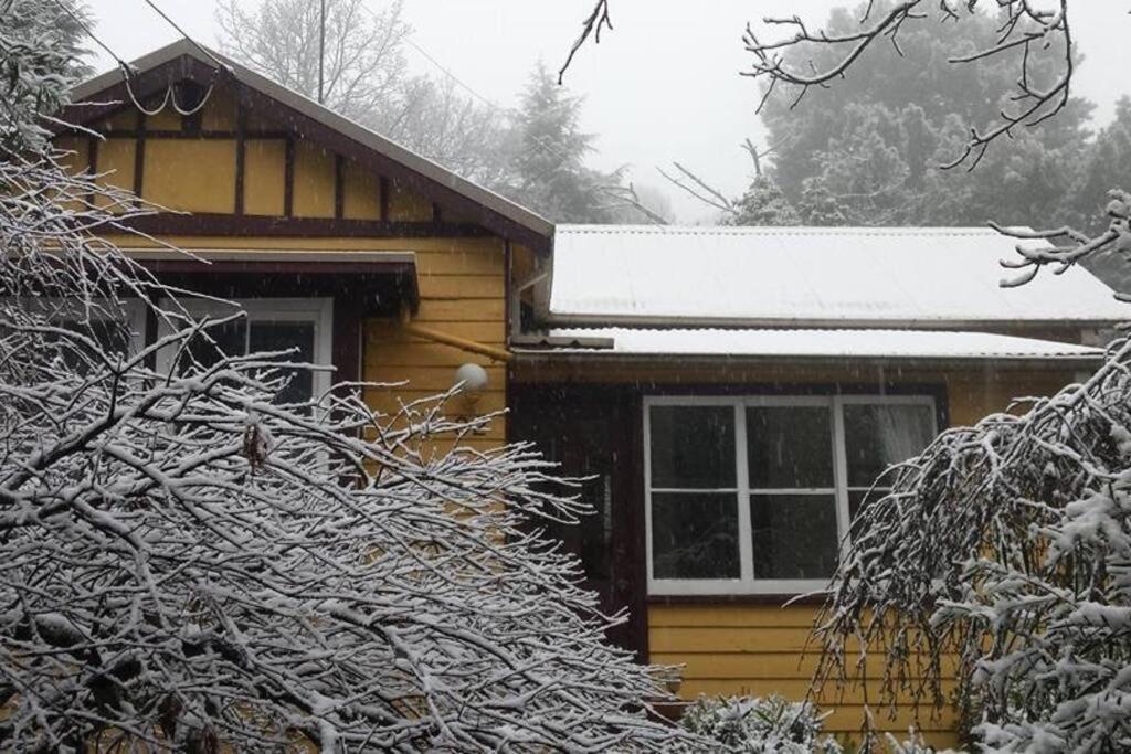 Dowling Cottage - tranquil haven in Blackheath