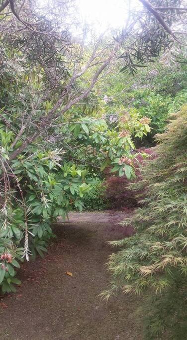 Dowling Cottage - tranquil haven in Blackheath