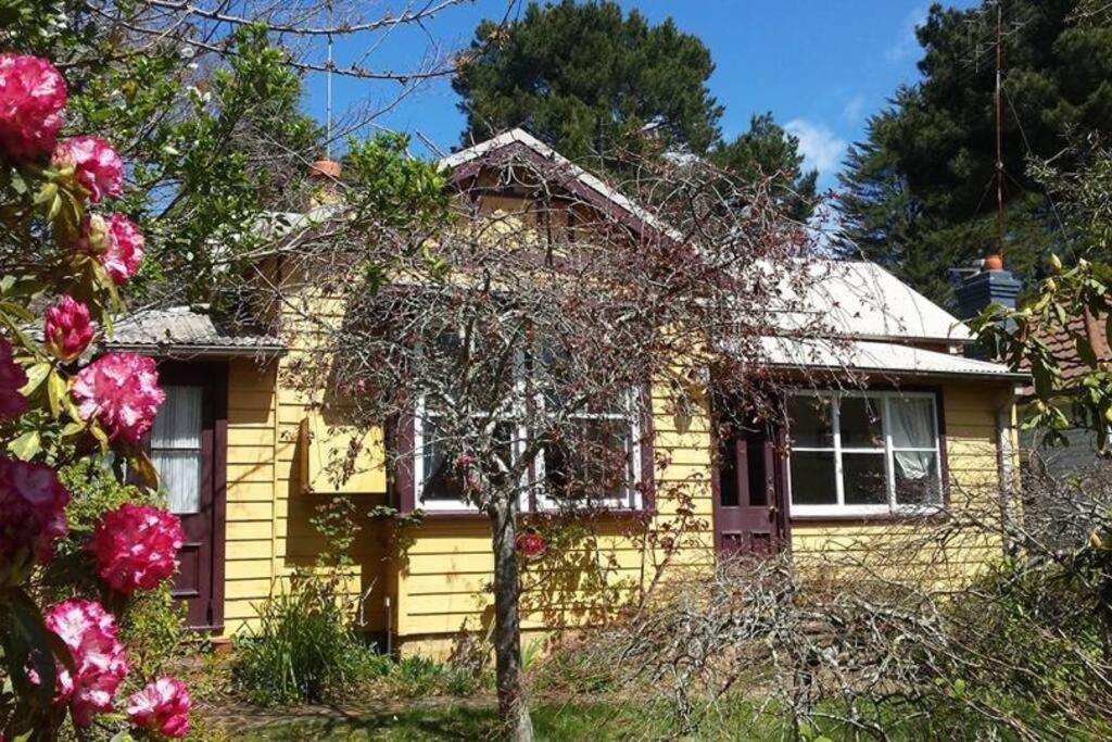 Dowling Cottage - tranquil haven in Blackheath