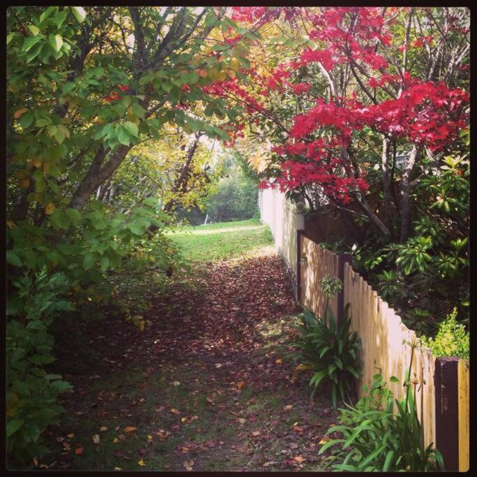 Dowling Cottage - tranquil haven in Blackheath