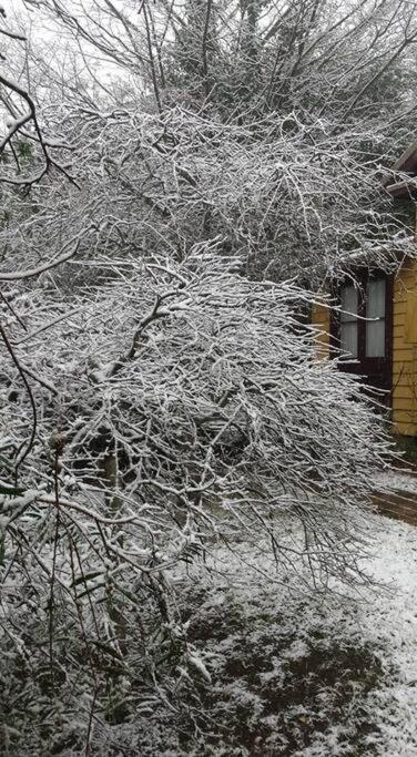 Dowling Cottage - tranquil haven in Blackheath