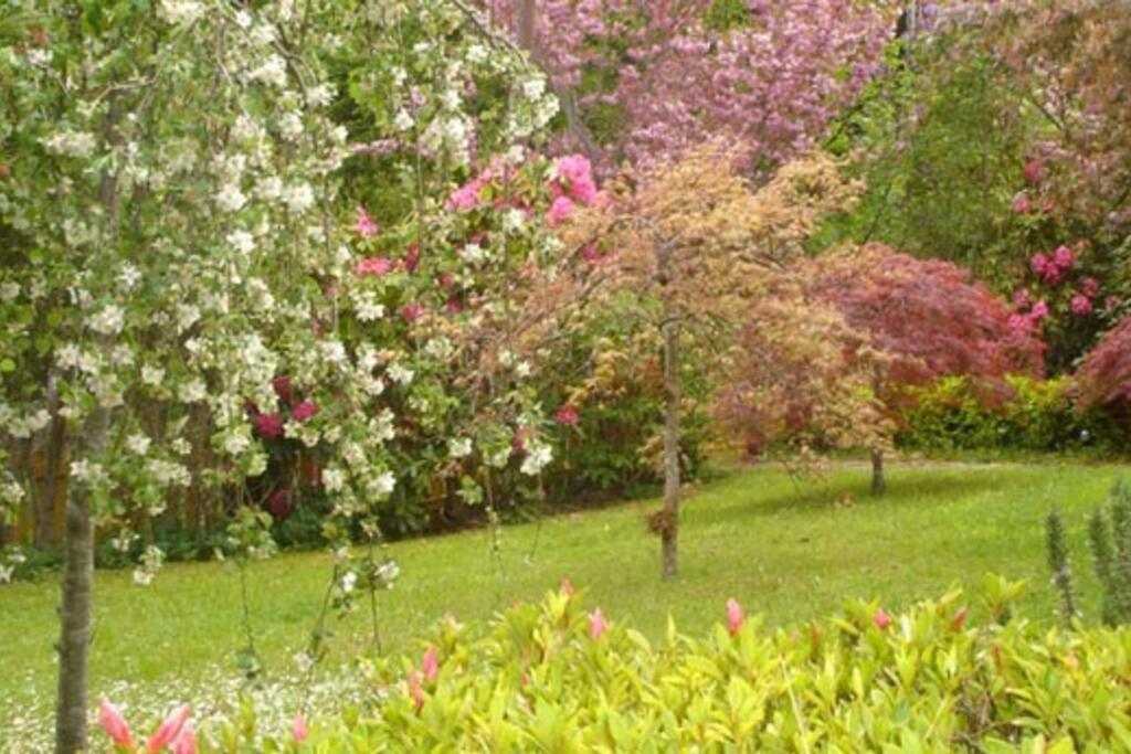 Dowling Cottage - tranquil haven in Blackheath