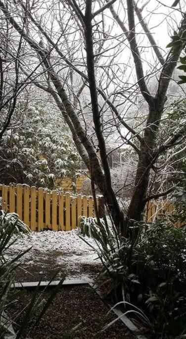 Dowling Cottage - tranquil haven in Blackheath