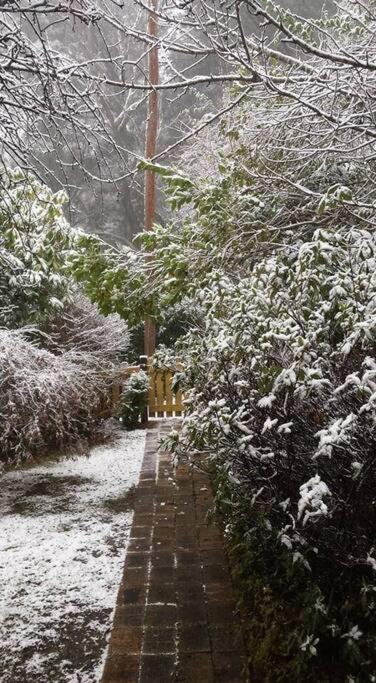 Dowling Cottage - tranquil haven in Blackheath