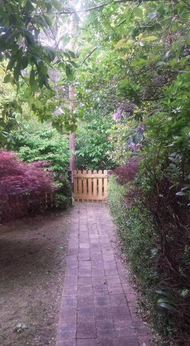 Dowling Cottage - tranquil haven in Blackheath