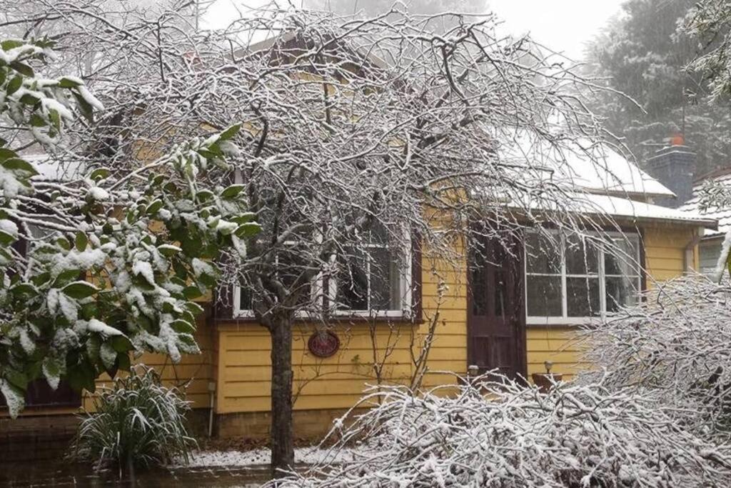 Dowling Cottage - tranquil haven in Blackheath