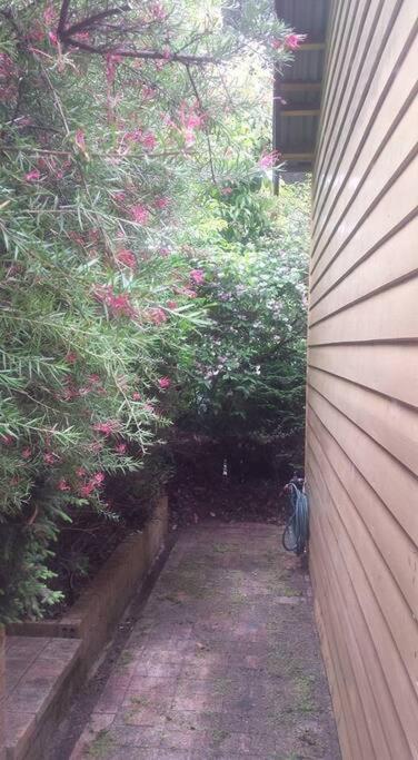 Dowling Cottage - tranquil haven in Blackheath