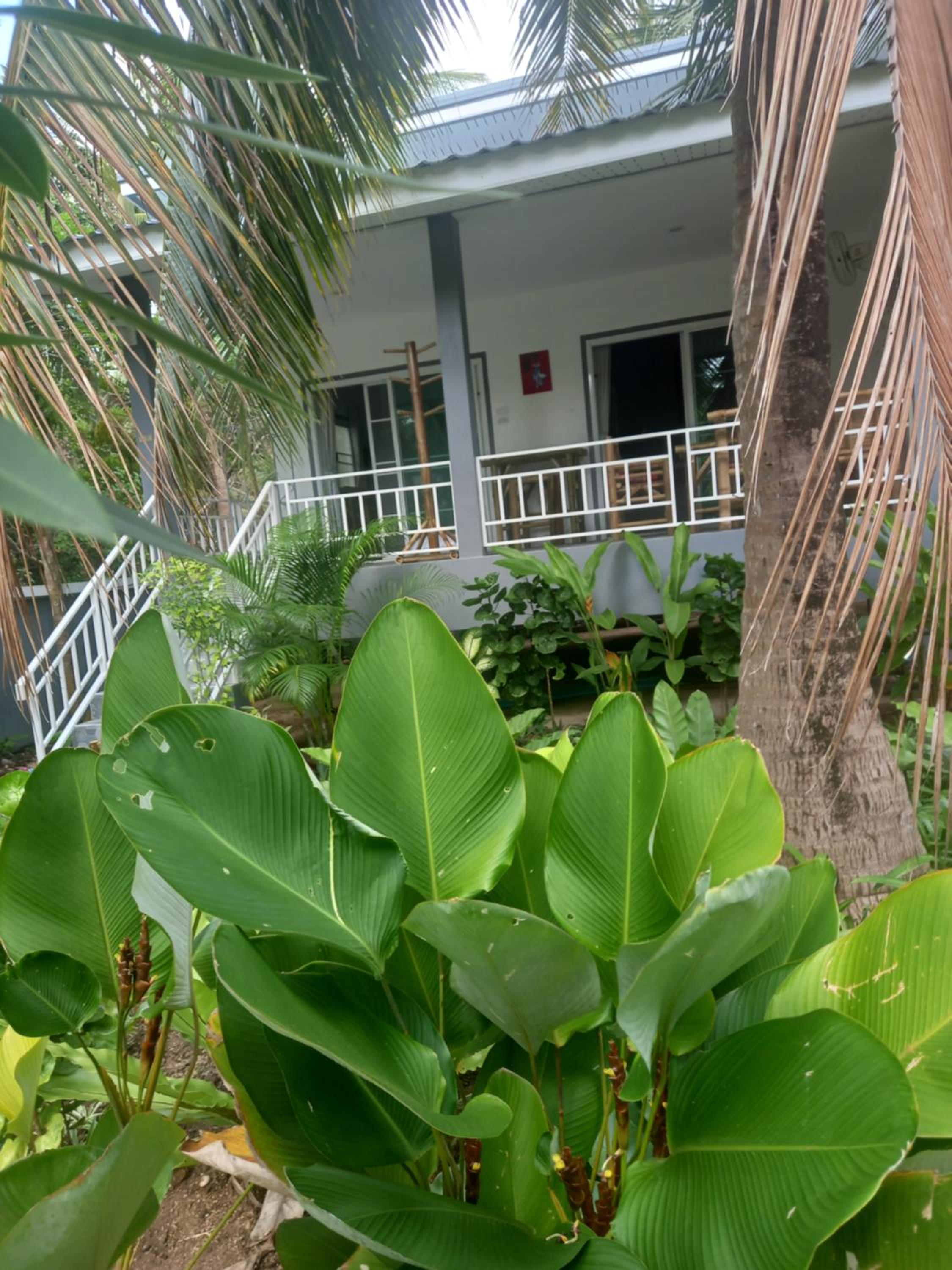 sweet home phangan view 2