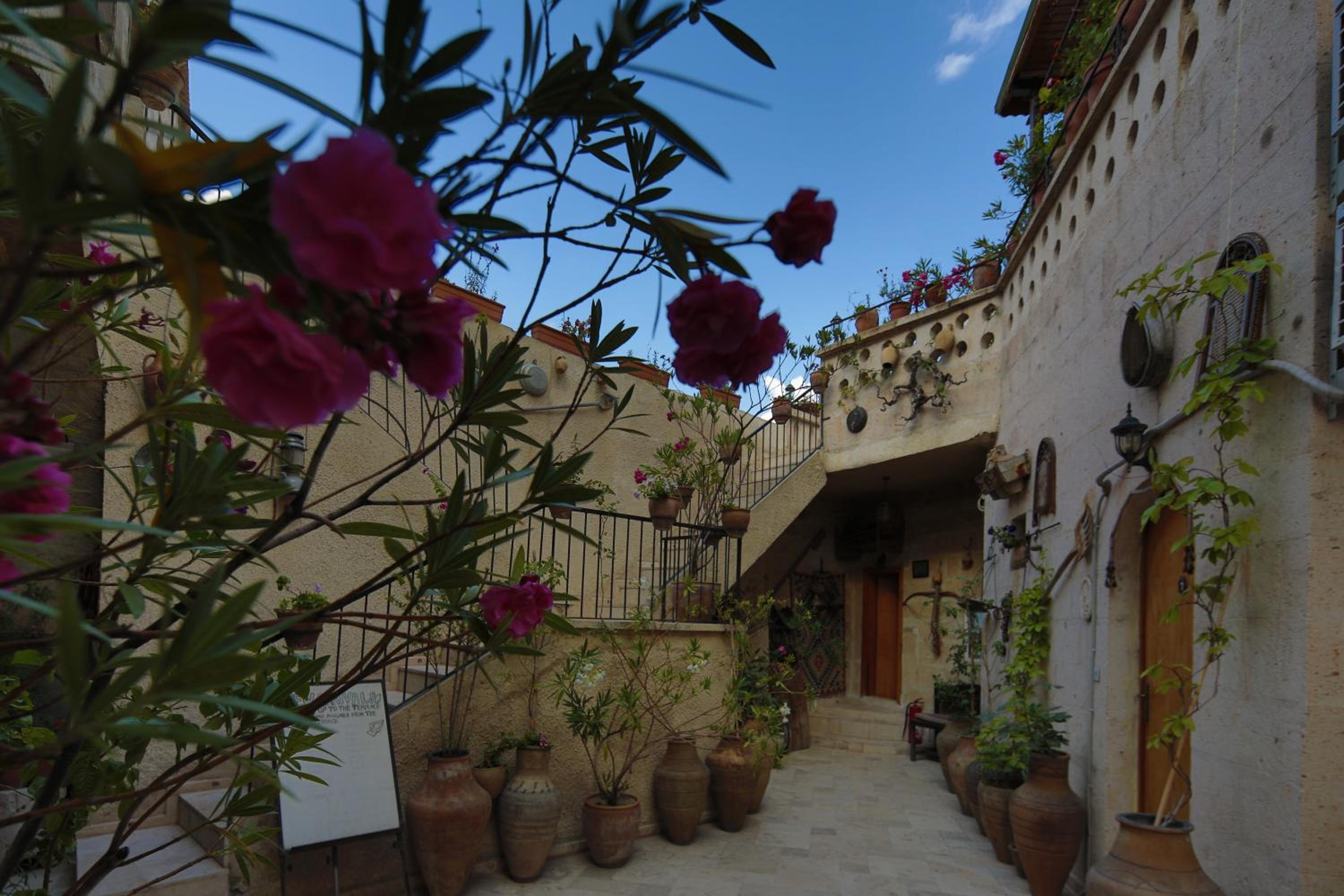 Kookaburra Hotel - Image 56