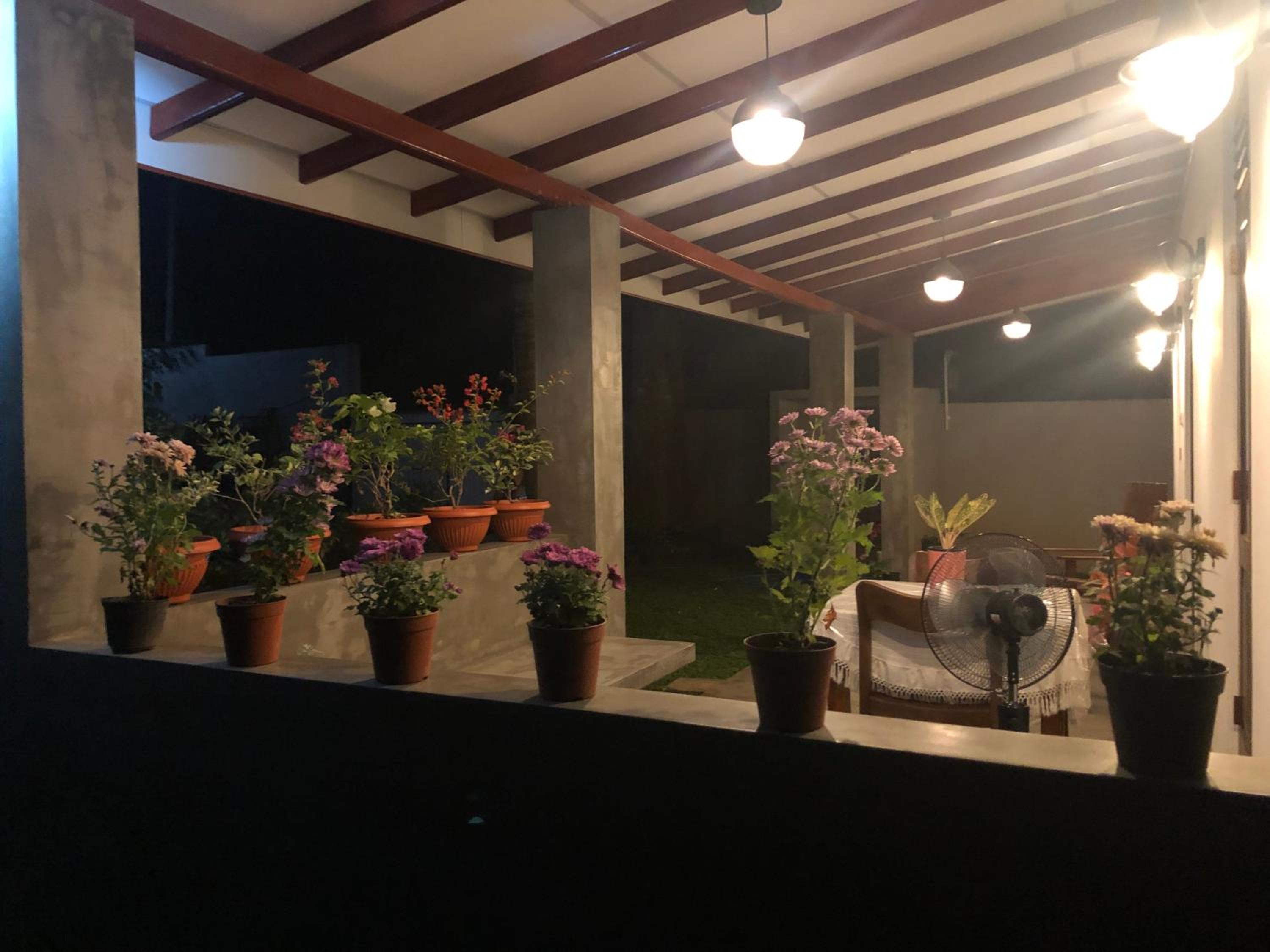 Photo 41