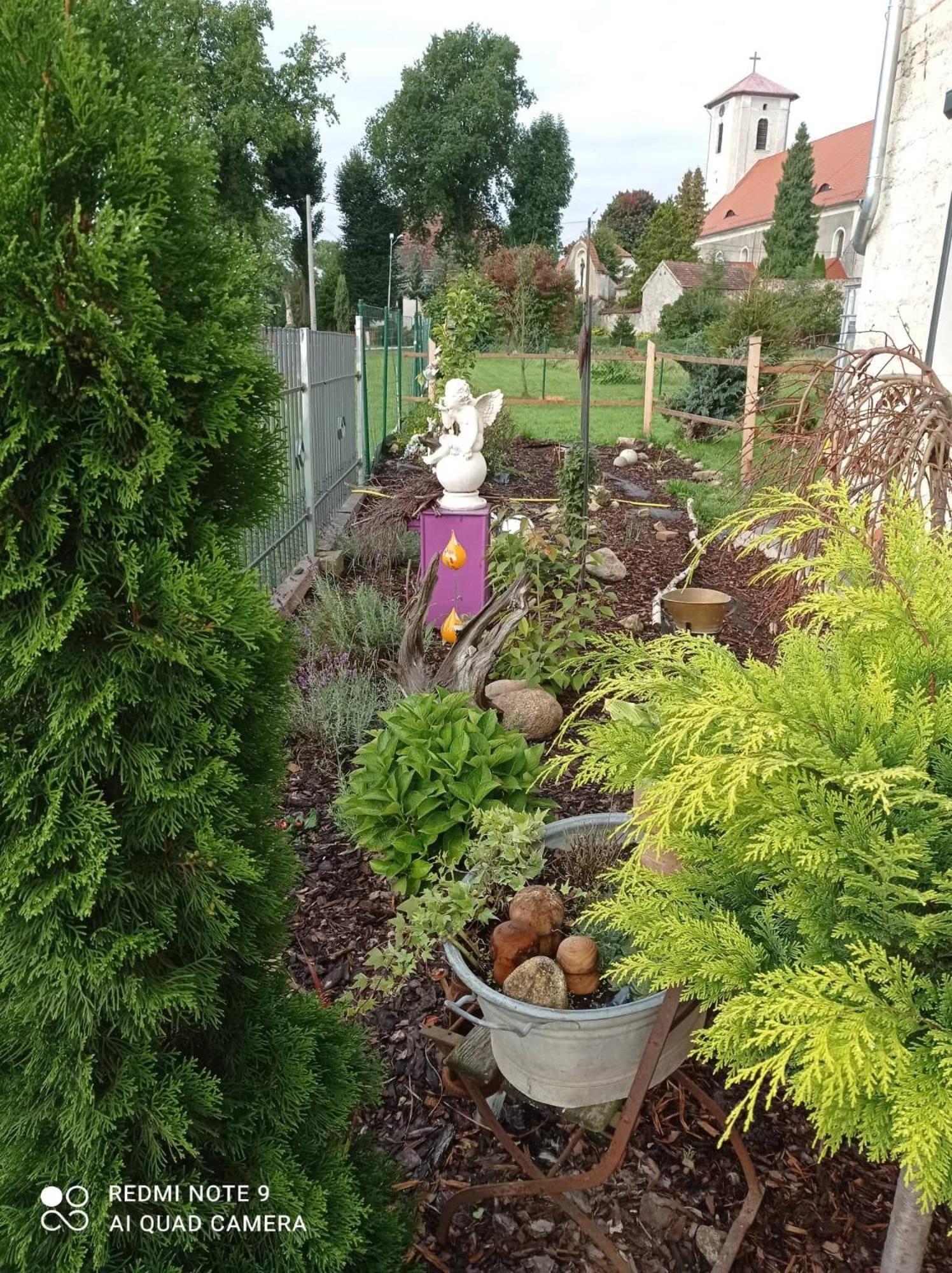 Photo 29