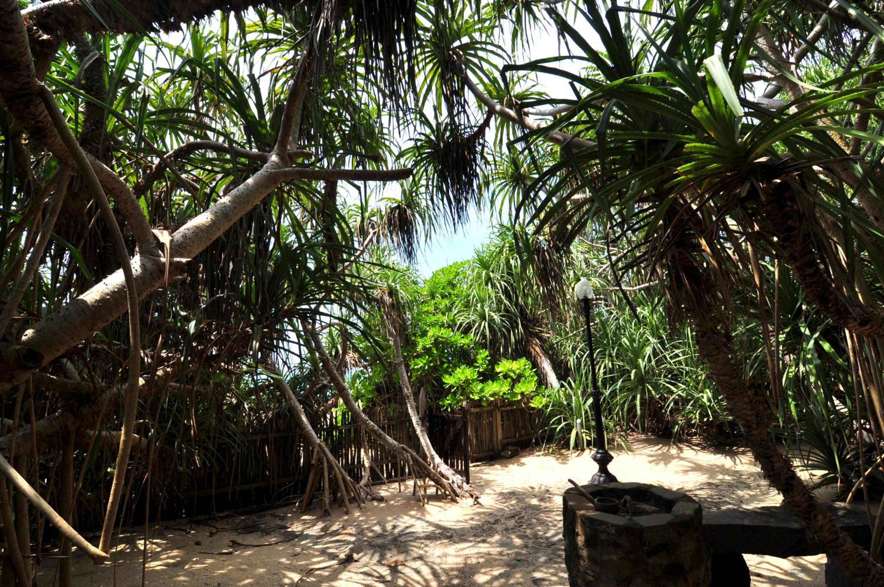 The Waves Beach Chalets