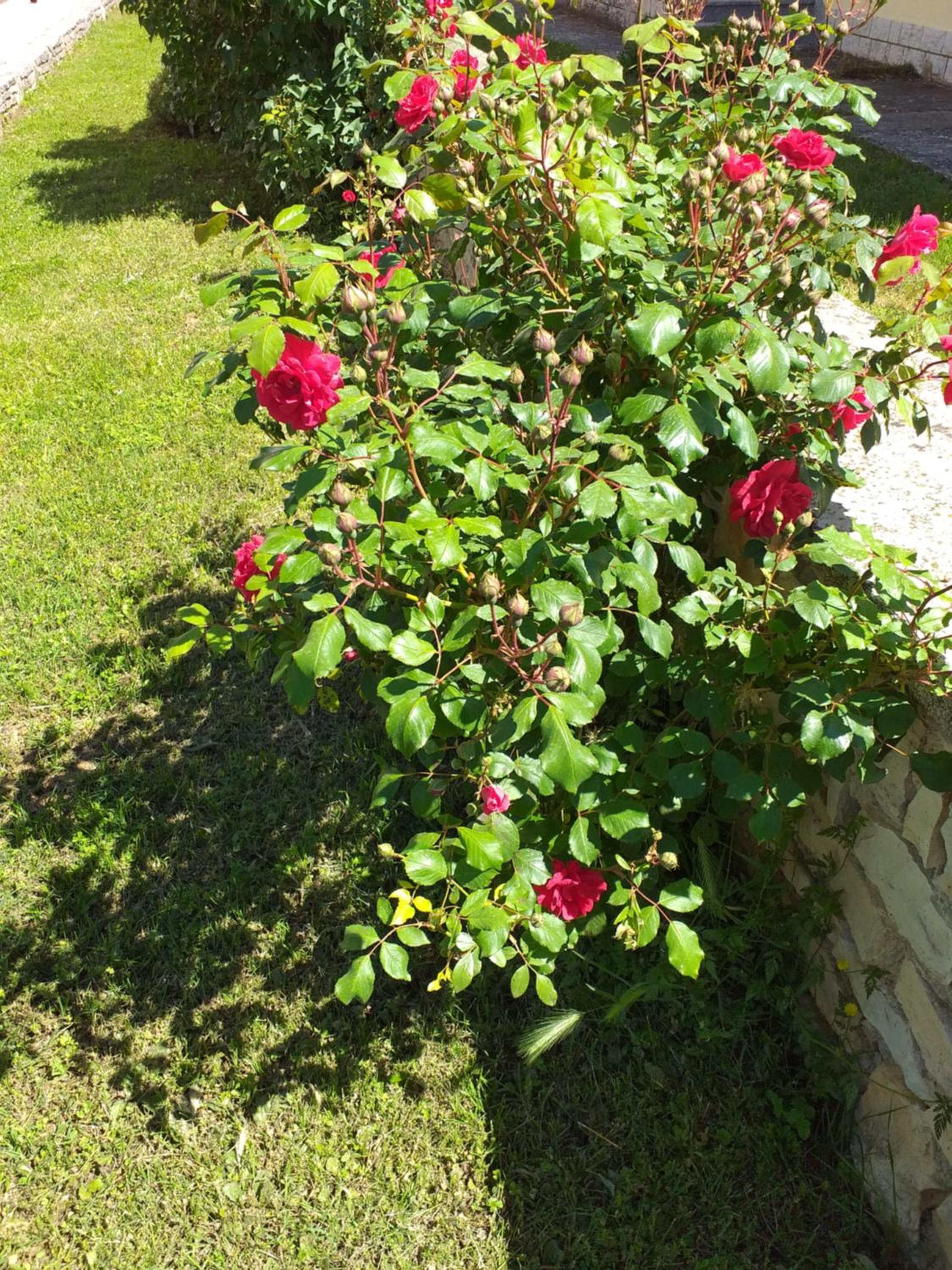 House Ulika view 4