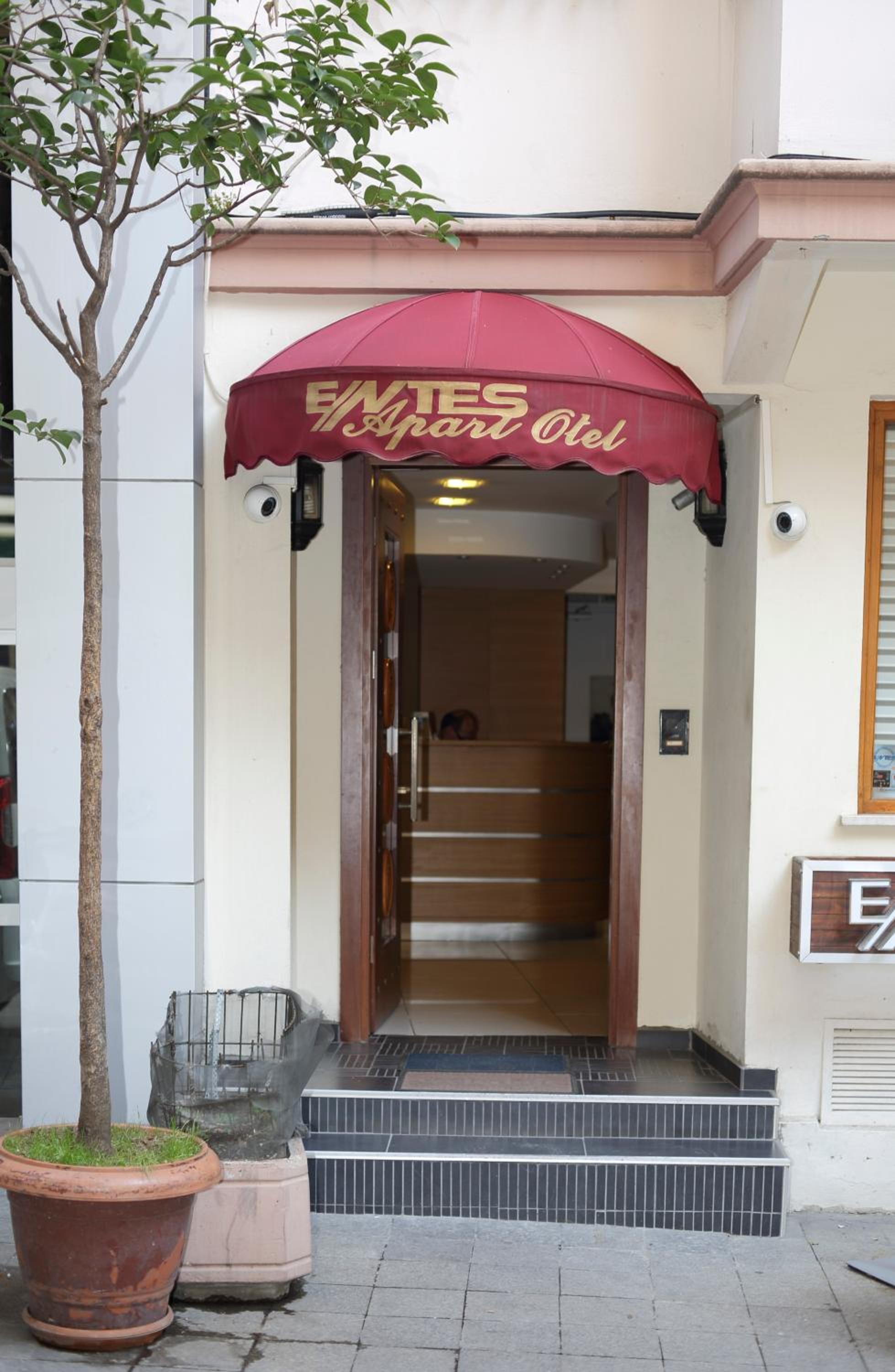 Entes Apart - Image 18