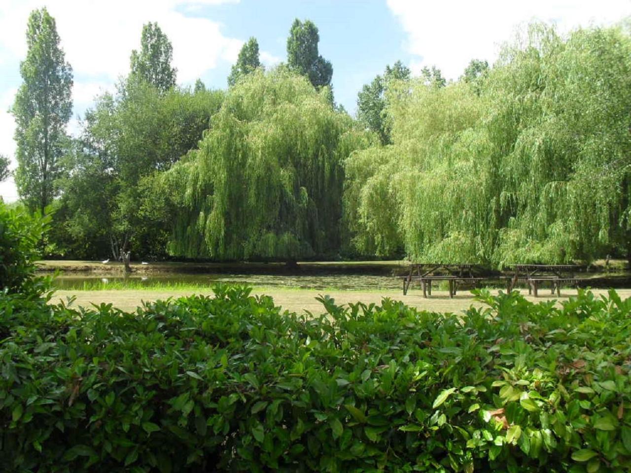 Photo 12