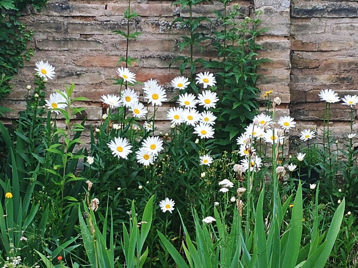 Au jardin de la Maison des Soeurs view 5