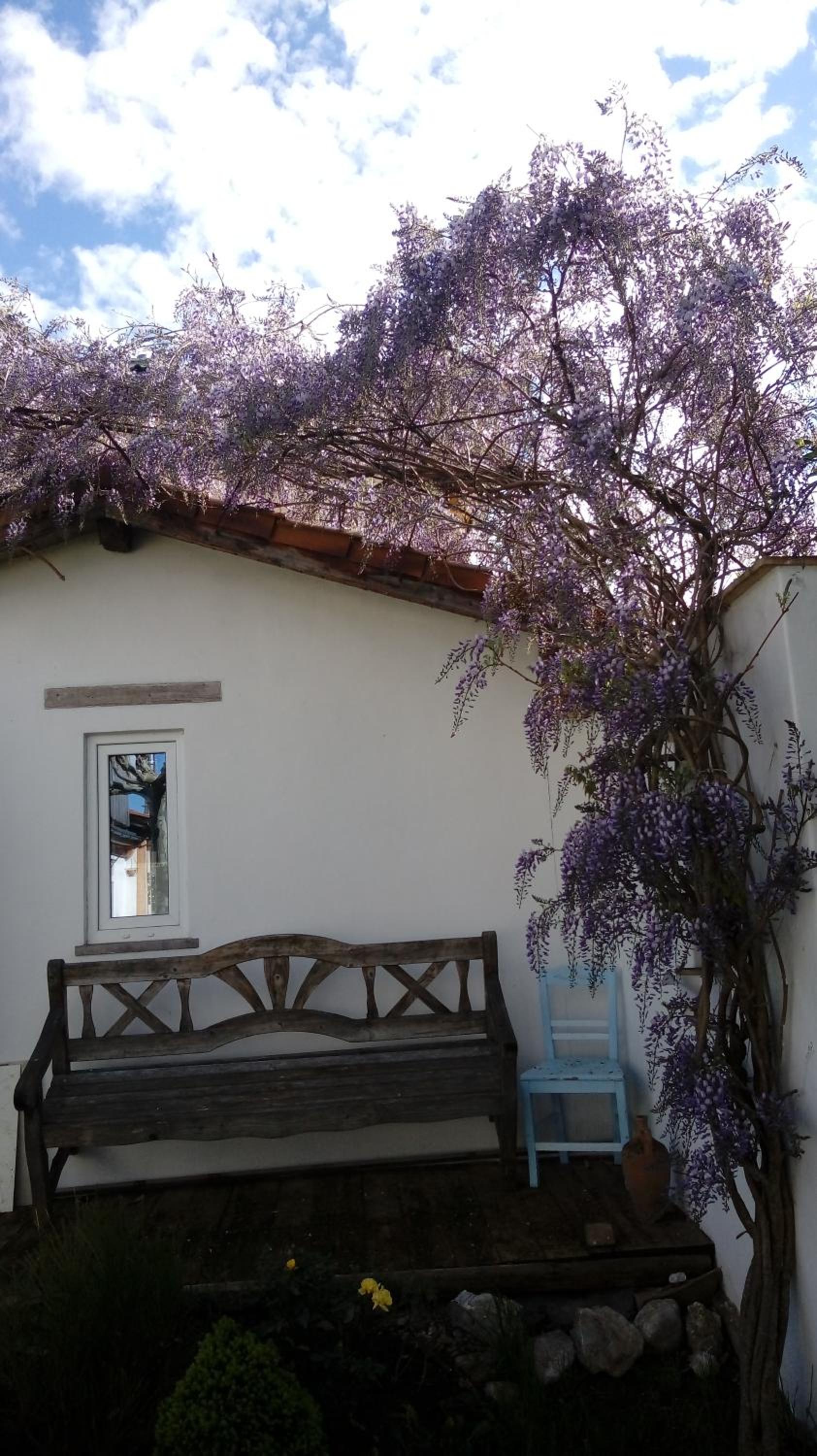 Haus mit mediterranem Flair