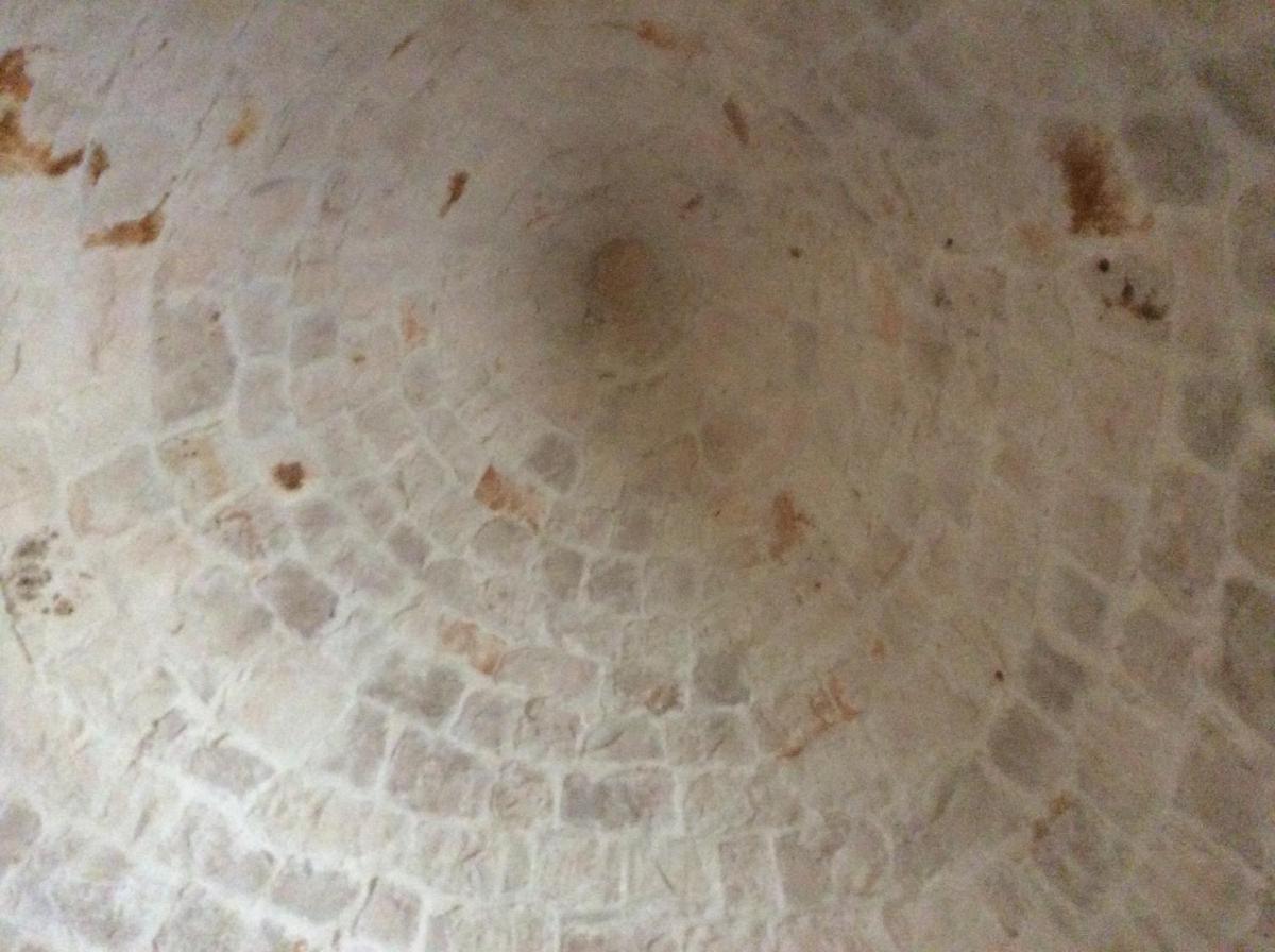 Photo 51