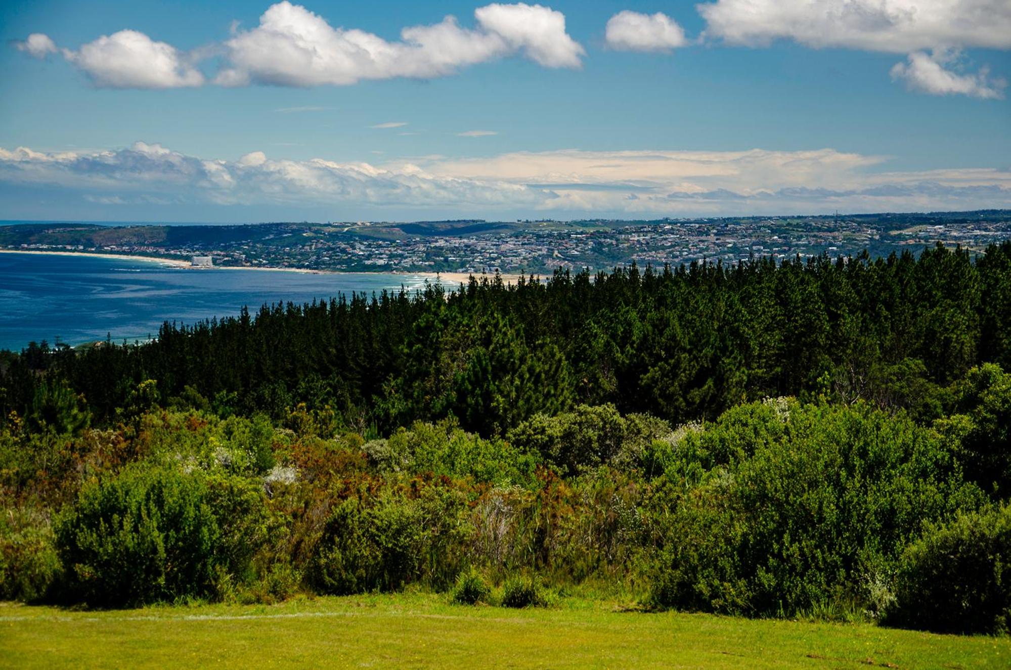 Greenhill Farm Manor House Plettenberg Bay - Private House Sleeps 8 view 4