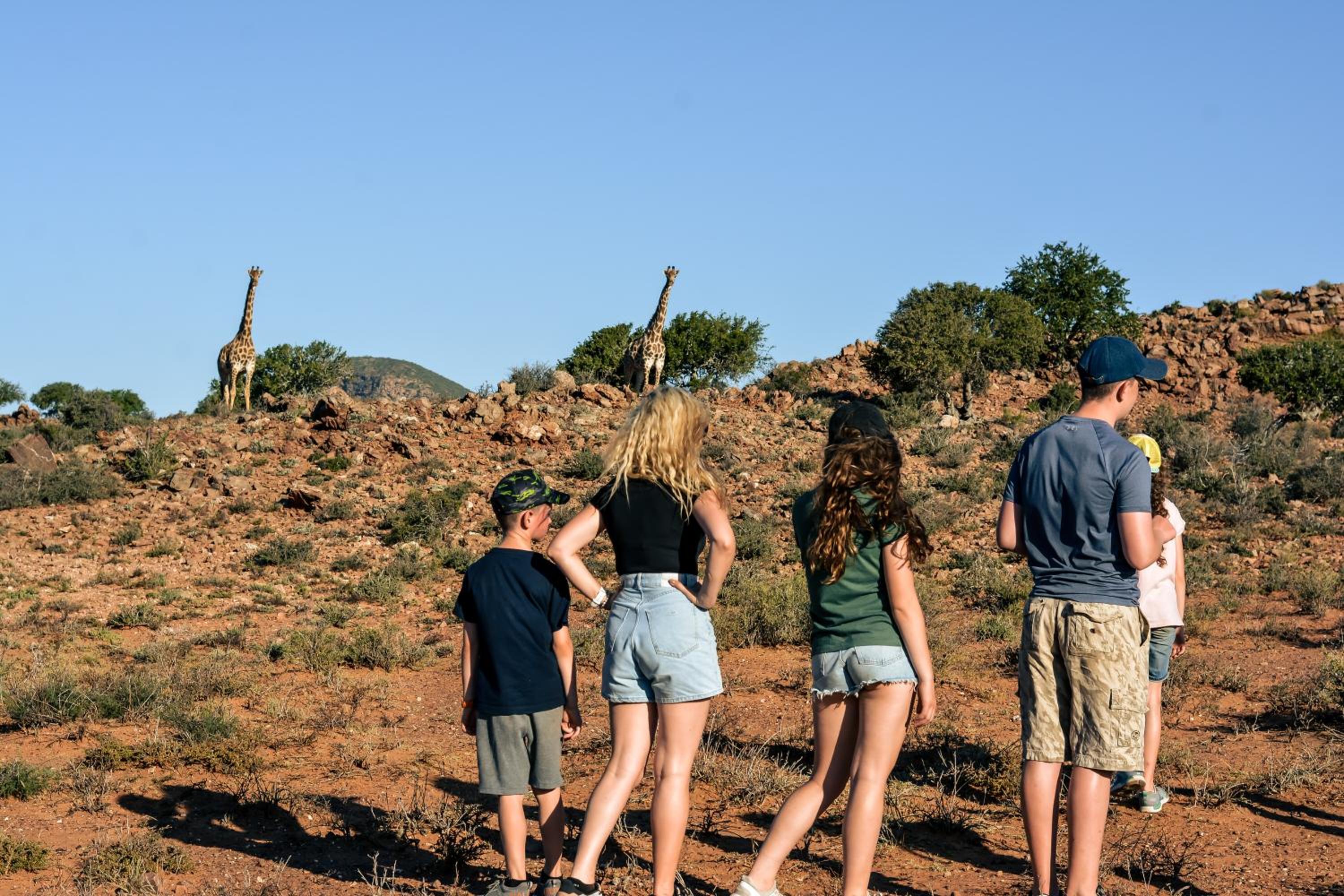 Royal Karoo Safari Lodge