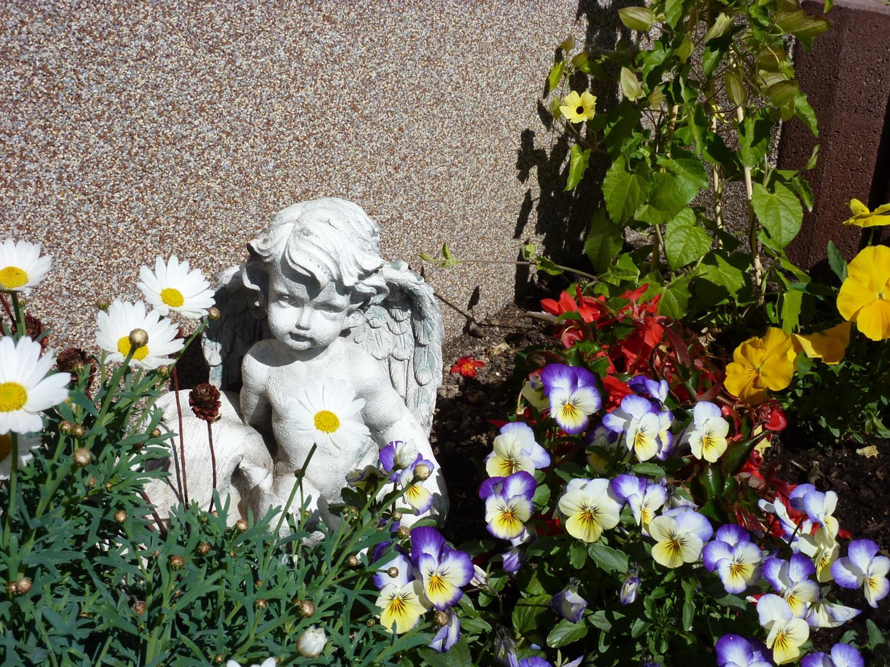 Photo 14