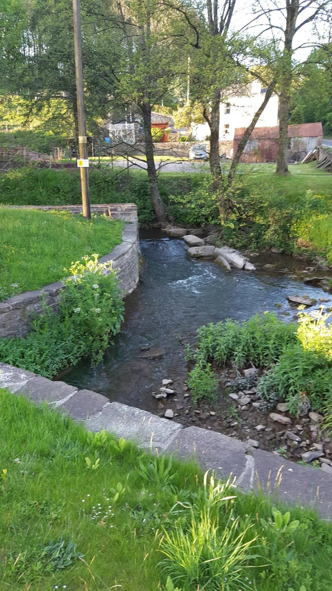 Photo 19