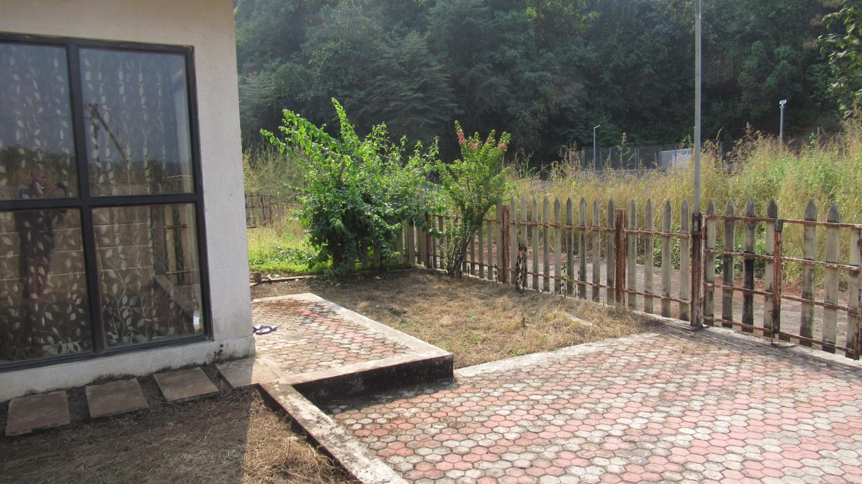 Photo 50