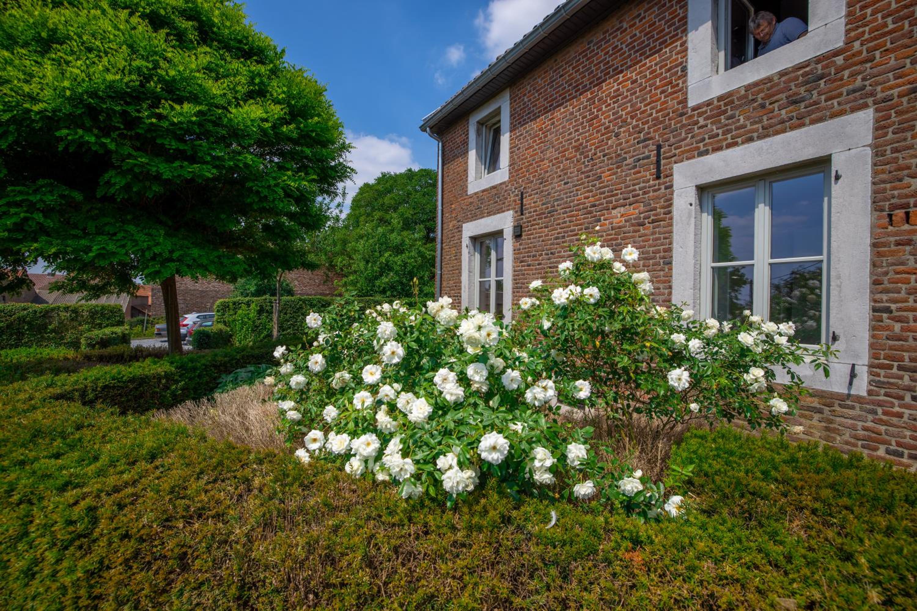 B&B Haspenhoeve