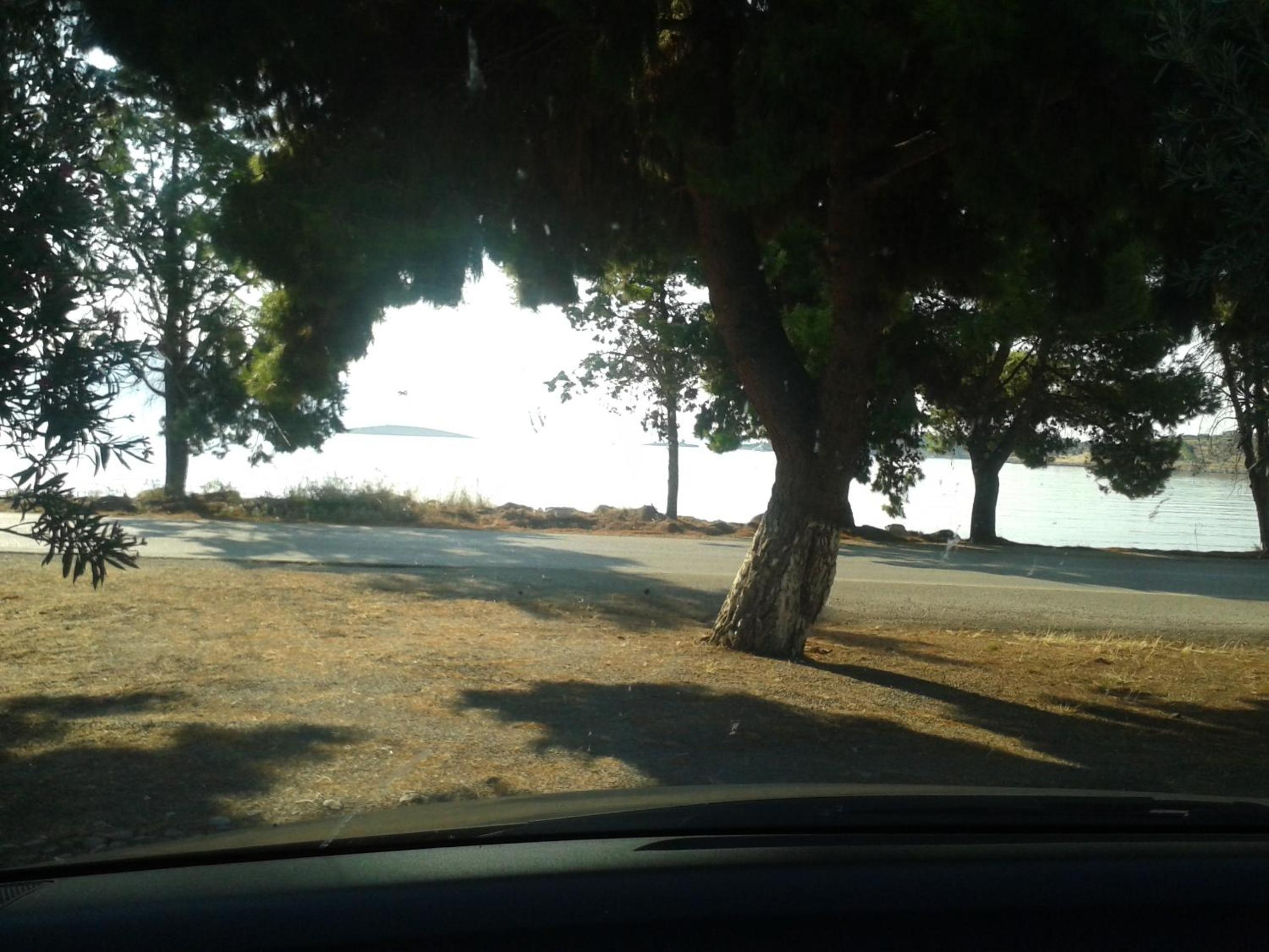 Photo 38