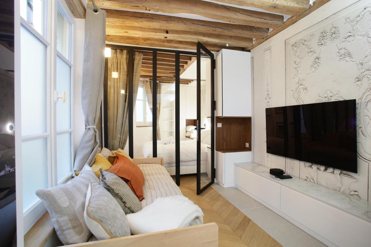 Superb apartment Place des Vosges Le Marais (Charles V)
