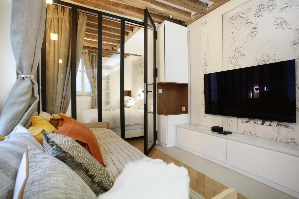 Superb apartment Place des Vosges Le Marais (Charles V)