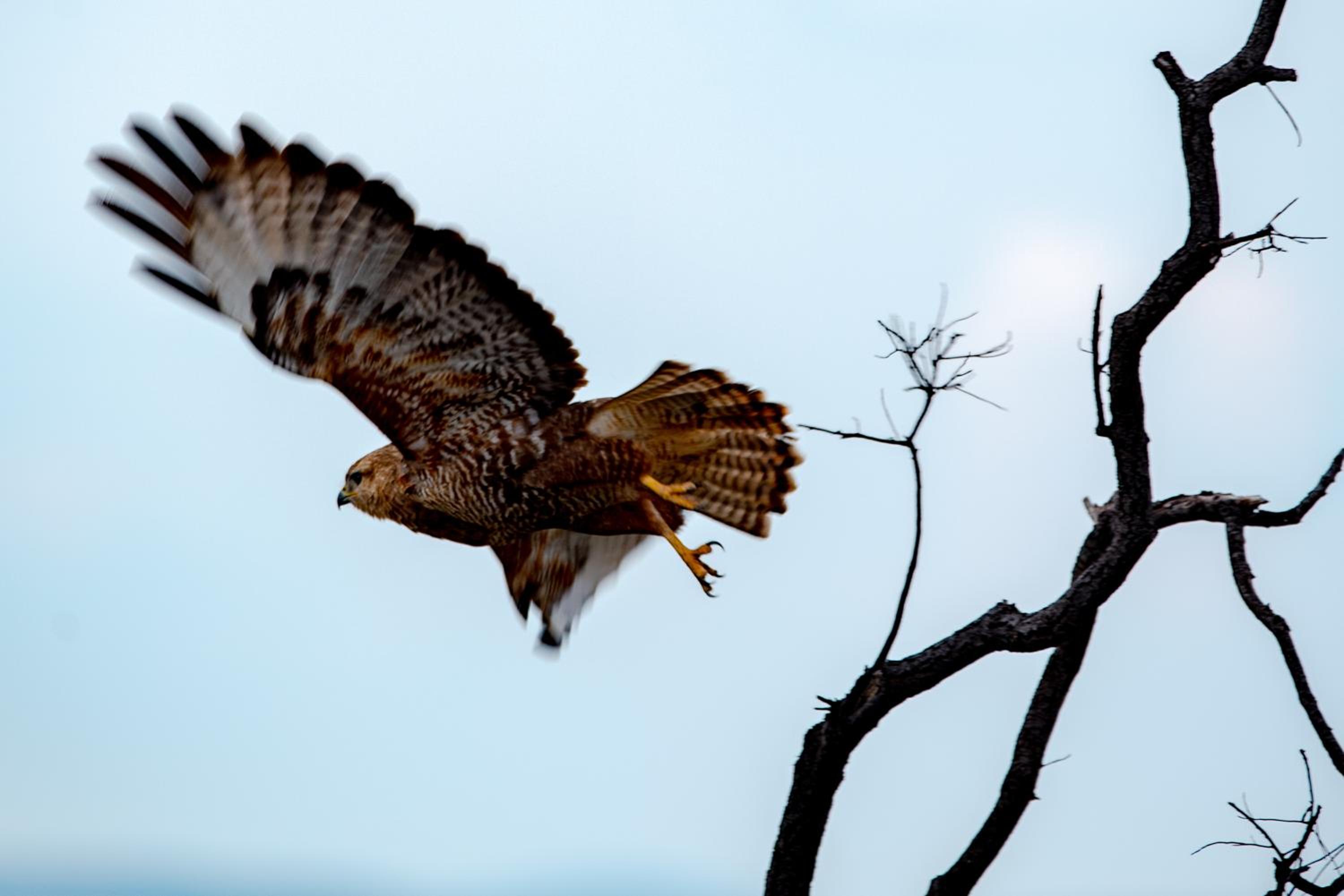 Nungubane Game Lodge