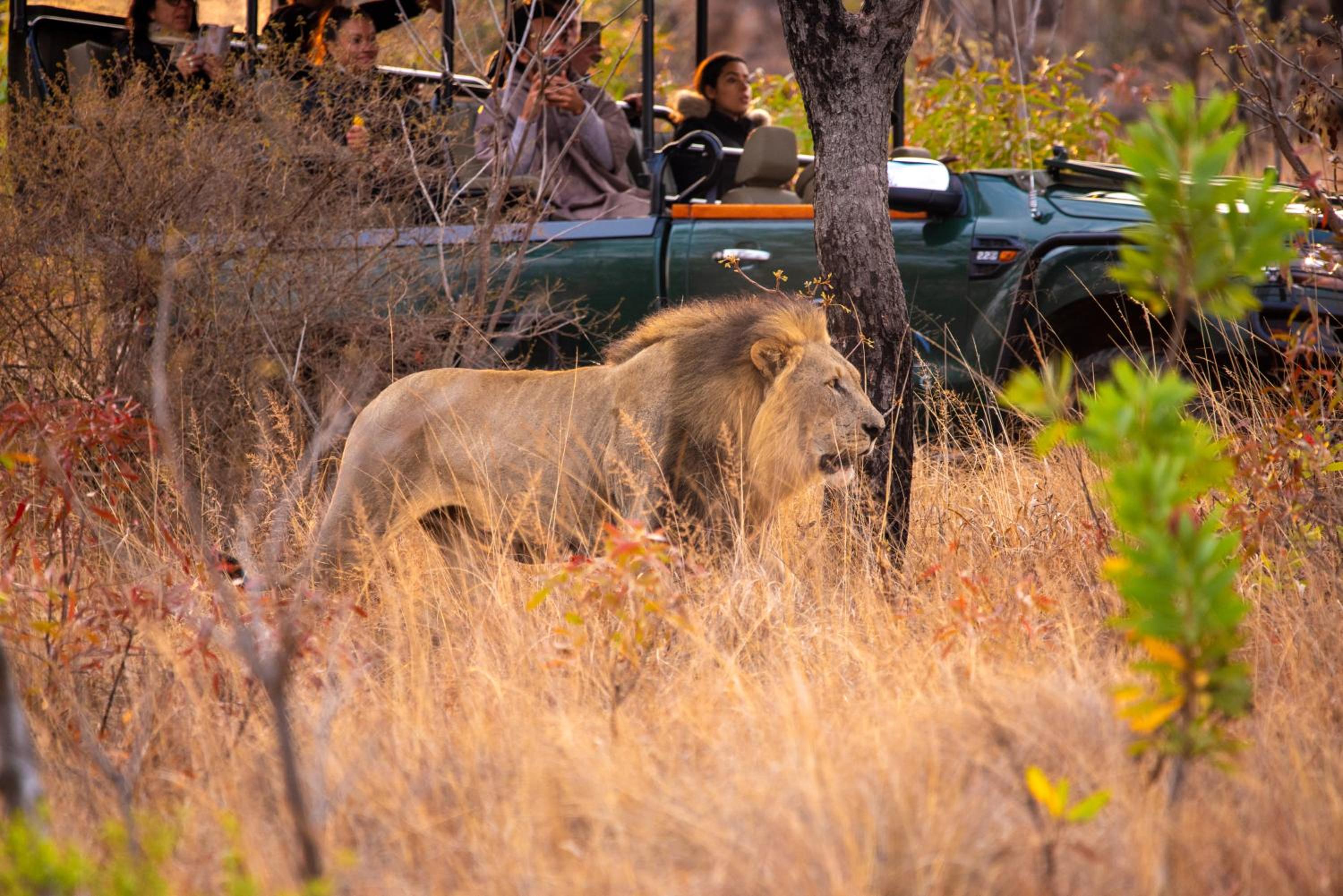 Nungubane Game Lodge