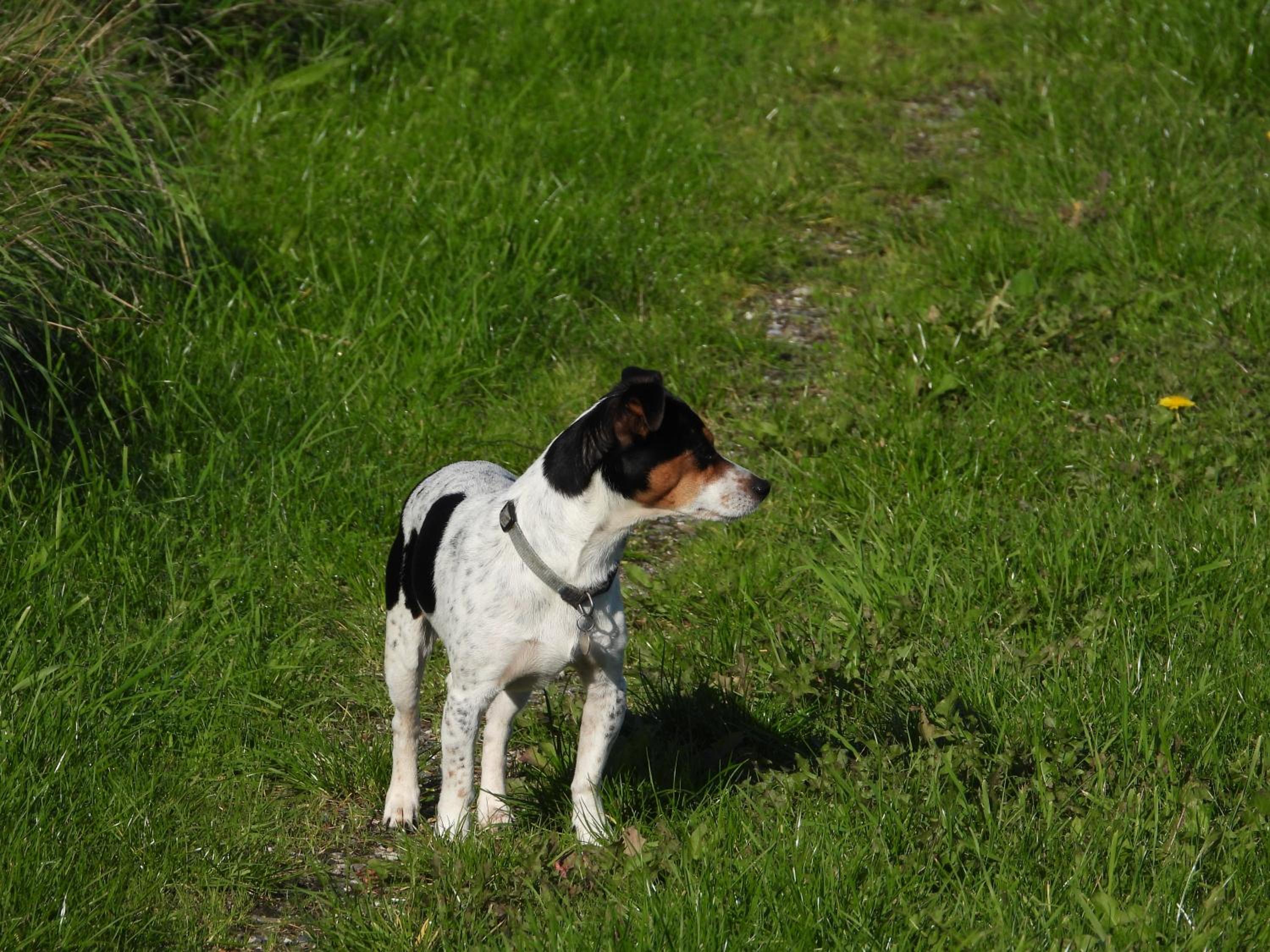 Engbjerg BnB