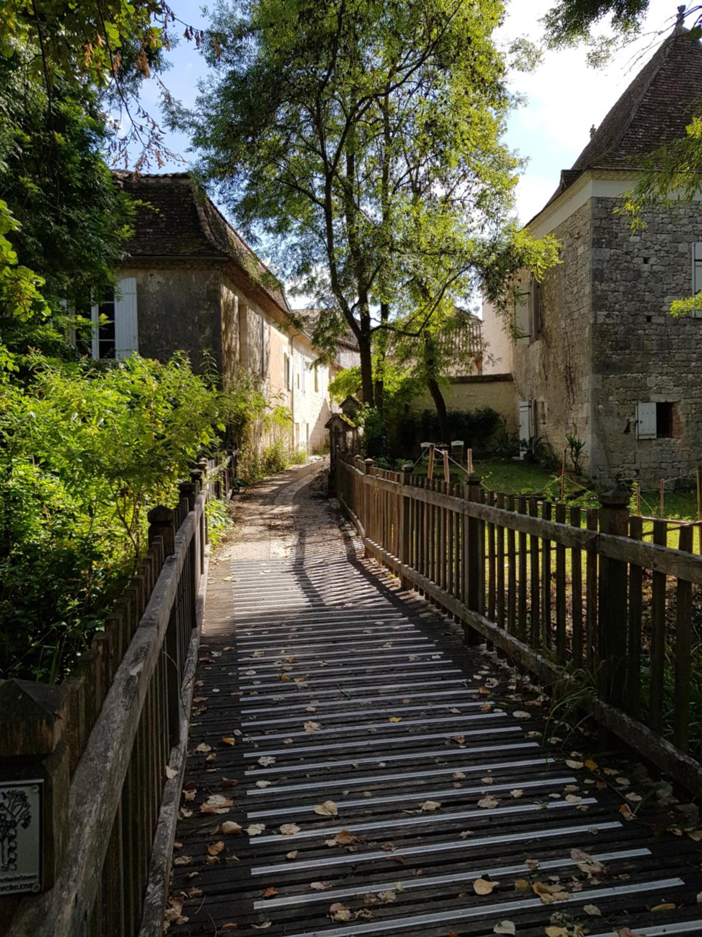 Photo 41
