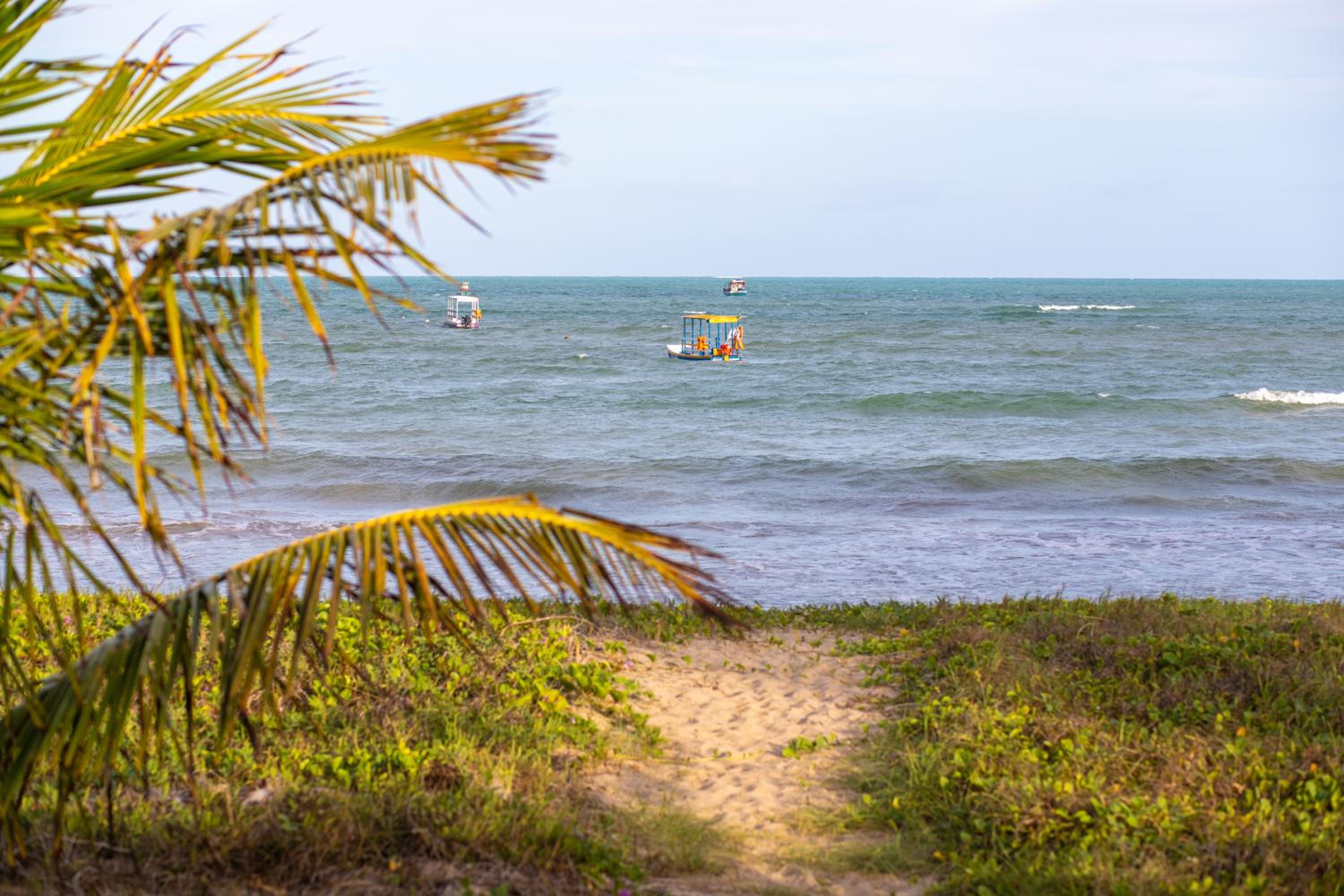 Condomínio Praias de Maragogi & Casas Deluxe