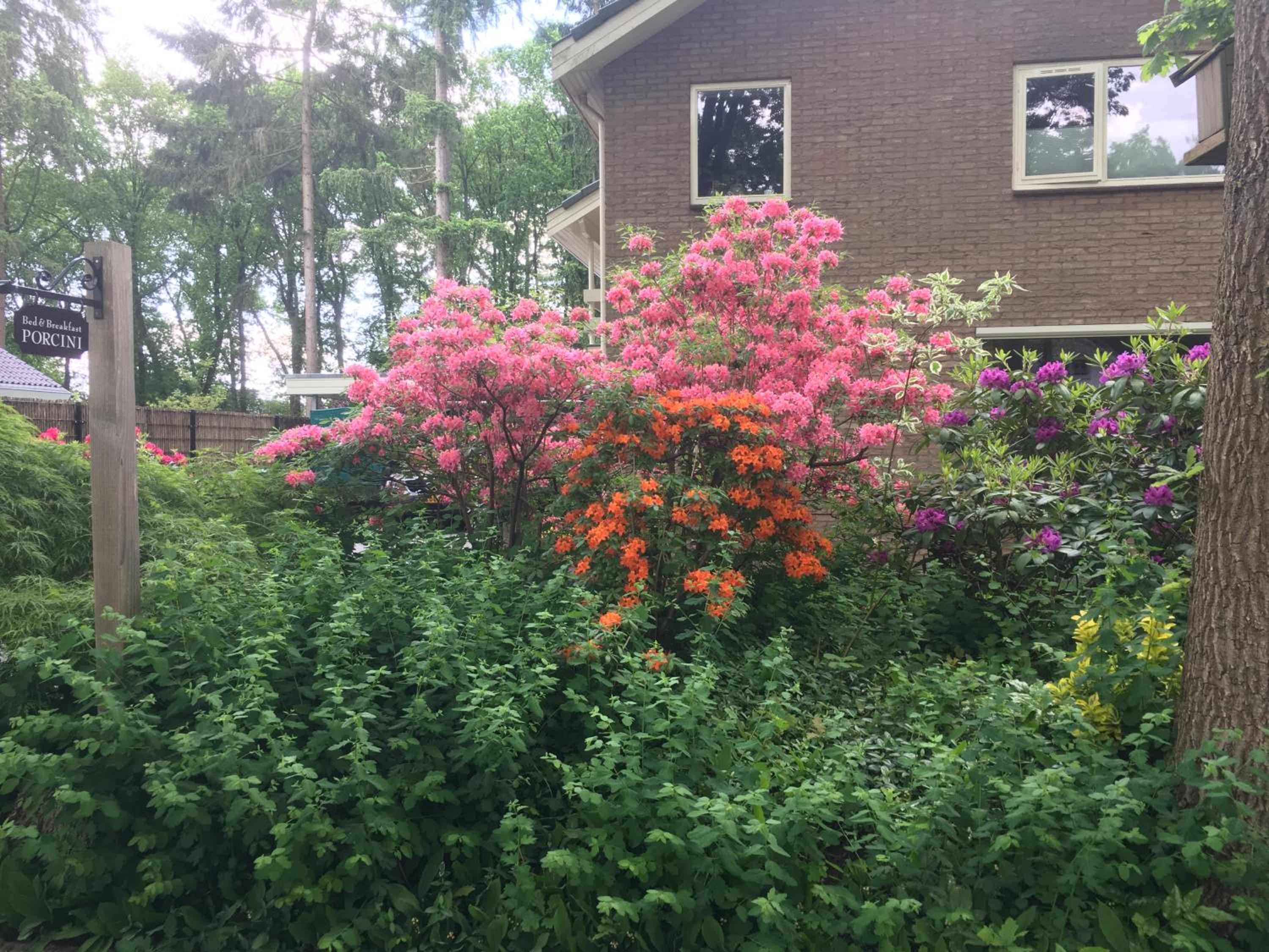 Photo 49
