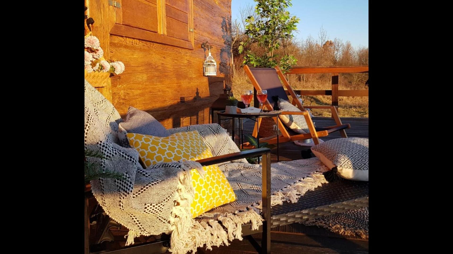 Pet friendly cabin with amazing view