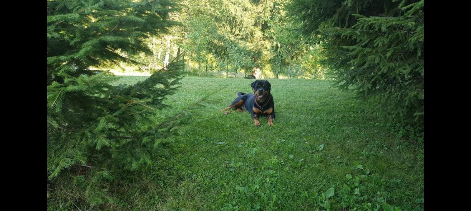 Photo 26
