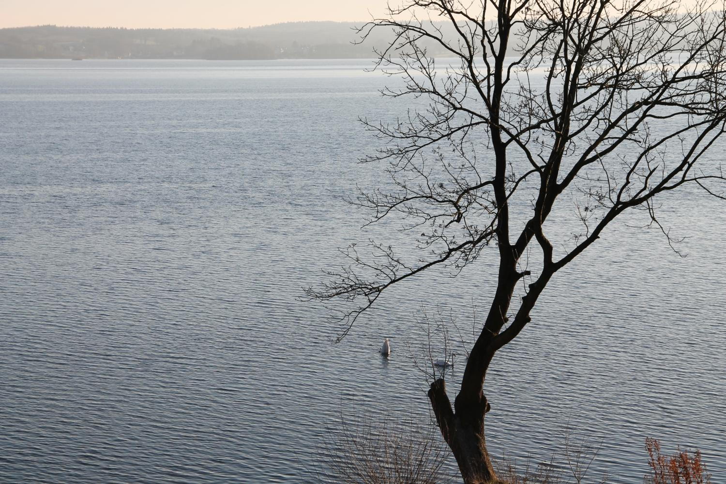 Fewo-Suite mit Seeblick