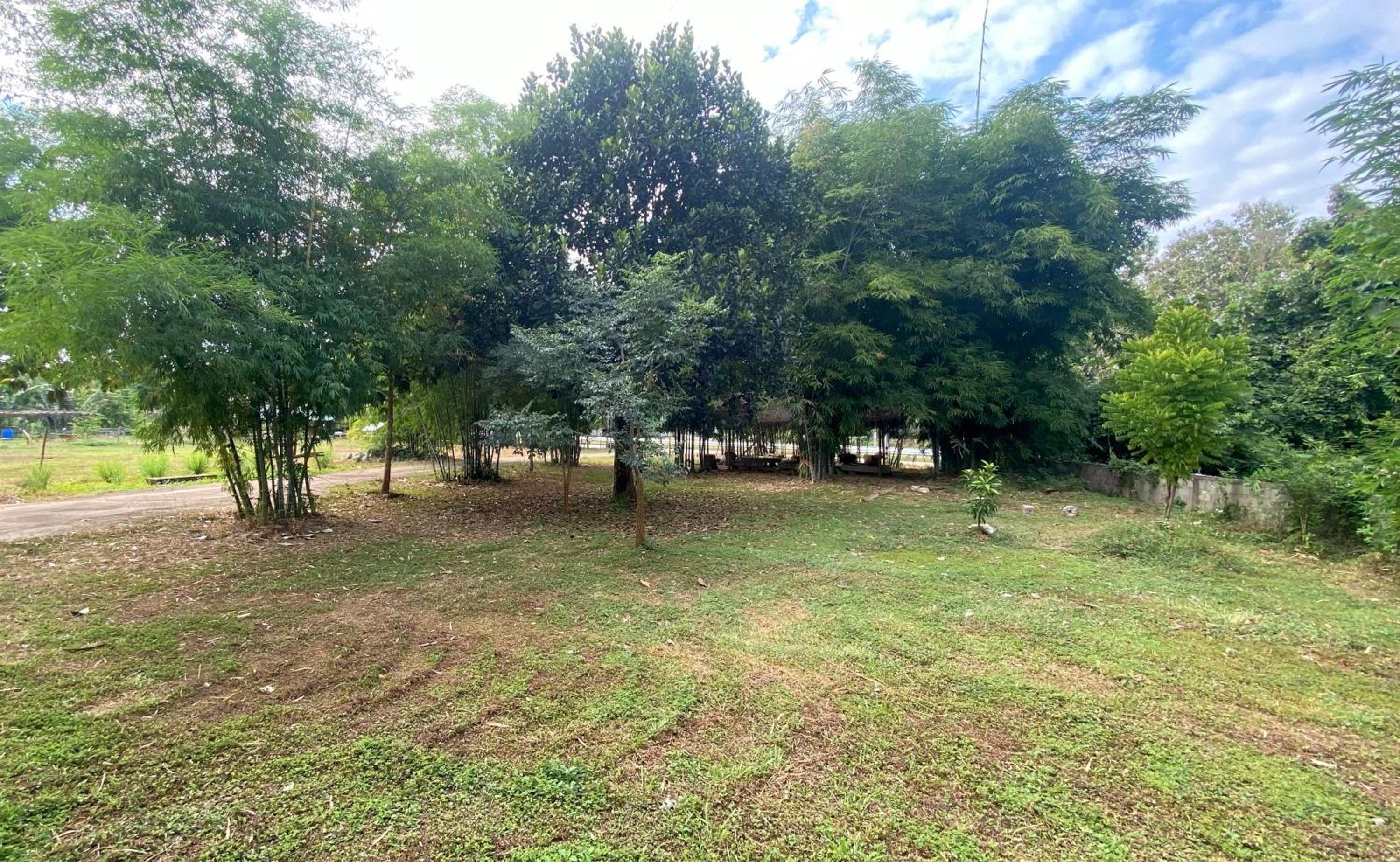 Photo 25